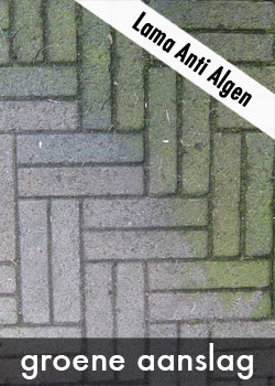 Lama Anti Algen groene aanslag verwijderen